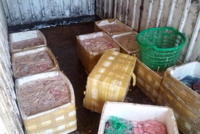 Bắt giữ gần 1 tạ nội tạng thối